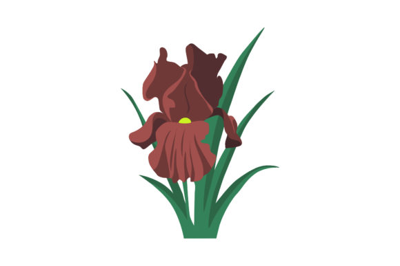 Beauty Flowers Flora Botanical Vector: A Graphics & Illustrations Review