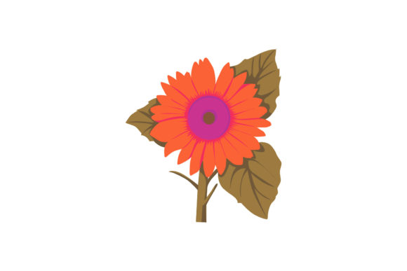 Beauty Spring Flowers Flora Botanical Graphics and Illustrations Review