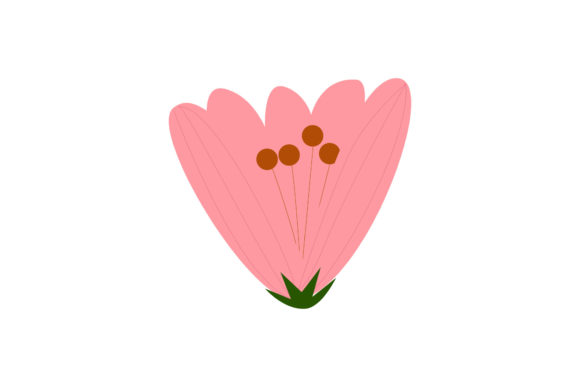 Flowers Botanicals Illustration for Brand Graphics