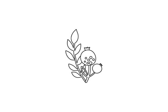 Flowers Botany Line Style Graphics for Freebies Projects