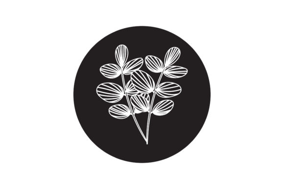 Flowers Botany Vector White Line Style Graphics Freebies Review
