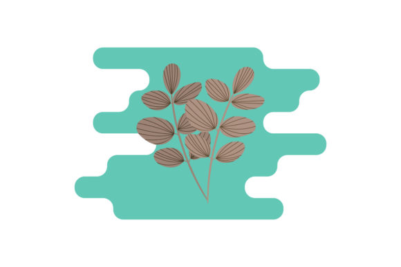 Flowers Icon Botany: A Designer's Review for Graphics and Illustrations
