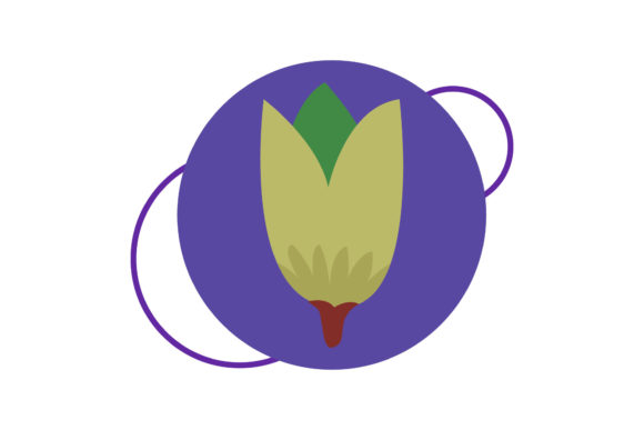 Flowers Icon Floras: Fresh Graphics and Illustrations for Local Brands