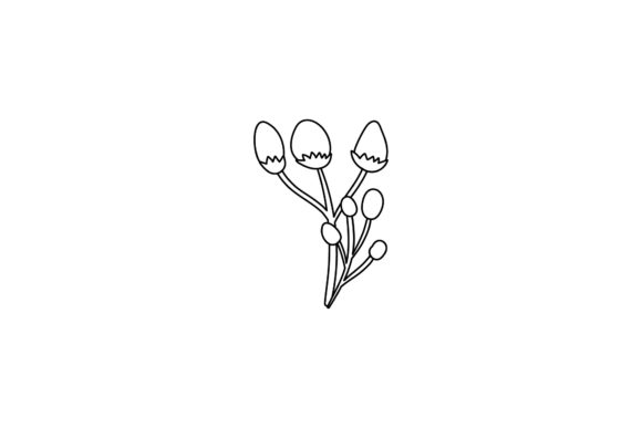 Flowers Illustration Arts Line Style Graphics Freebies Review