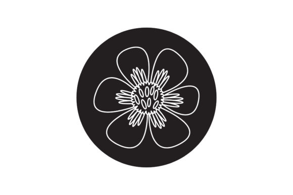 Flowers Illustration Flora Line Style Graphics Freebies