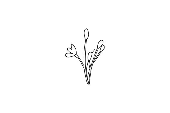 Flowers Illustrations Line Style Graphics for Freebies