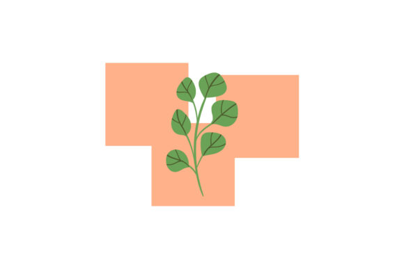 Flowers Nature Colors Icon: Graphics and Illustrations Review