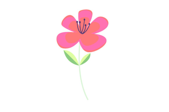 Flowers Ornament Collection Design Art for Graphics & Illustrations